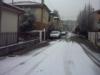 Gennaio - neve a Mestre, il vialetto
